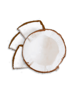 Kokosnuss aufgeschnitten