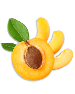 aufgeschnittene Aprikose mit Kern und Blättern