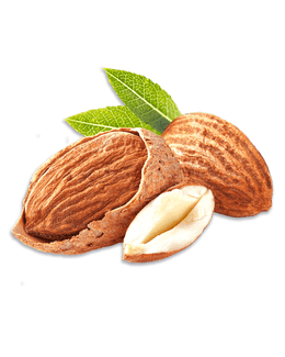 Mandelkerne mit und ohne Schale und grünen Blättern